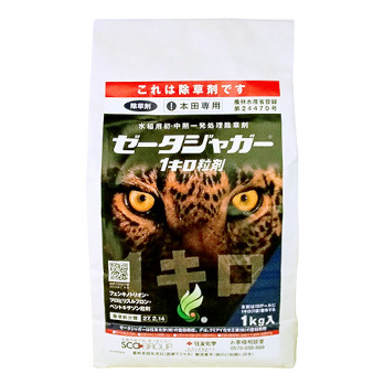 ゼータジャガー